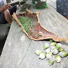 落ち葉や木の実拾い